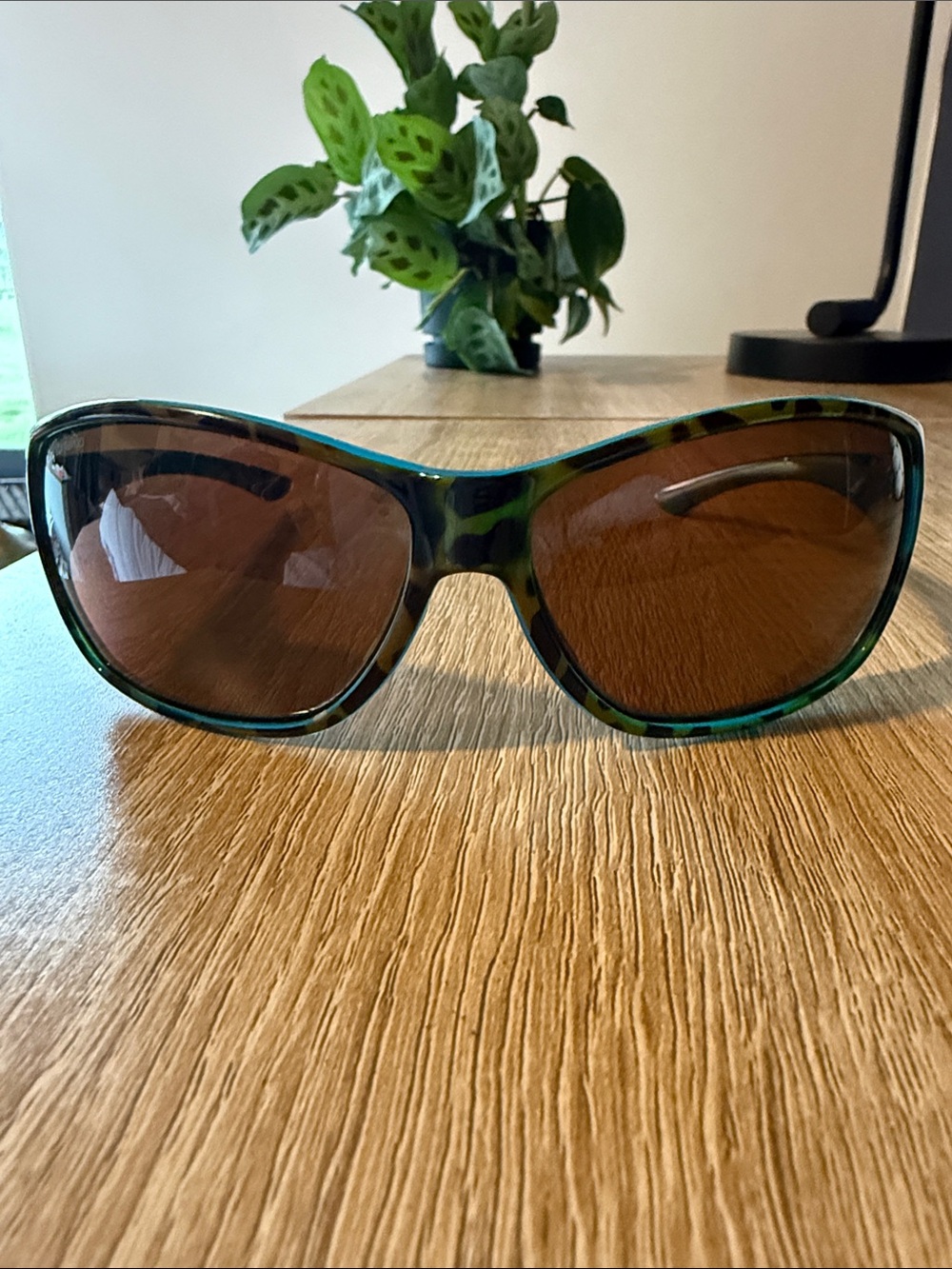 SMITH Polarized Teal Frame Sunglasses with Brown Lenses 65.15.120